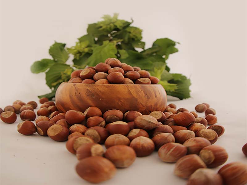 Inshell Hazelnuts